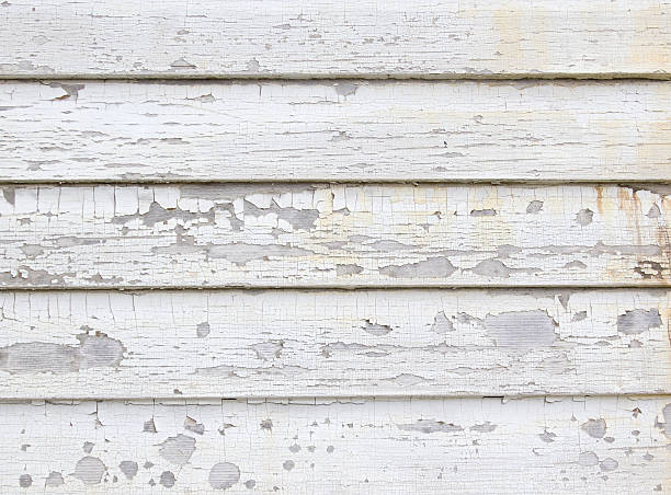 Best Hoarding Cleanup  in New City, NY
